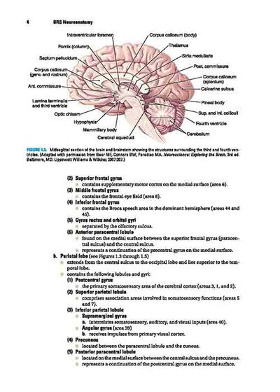 BRS Neuroanatomy (Board Review Series) Sixth Edition 2020